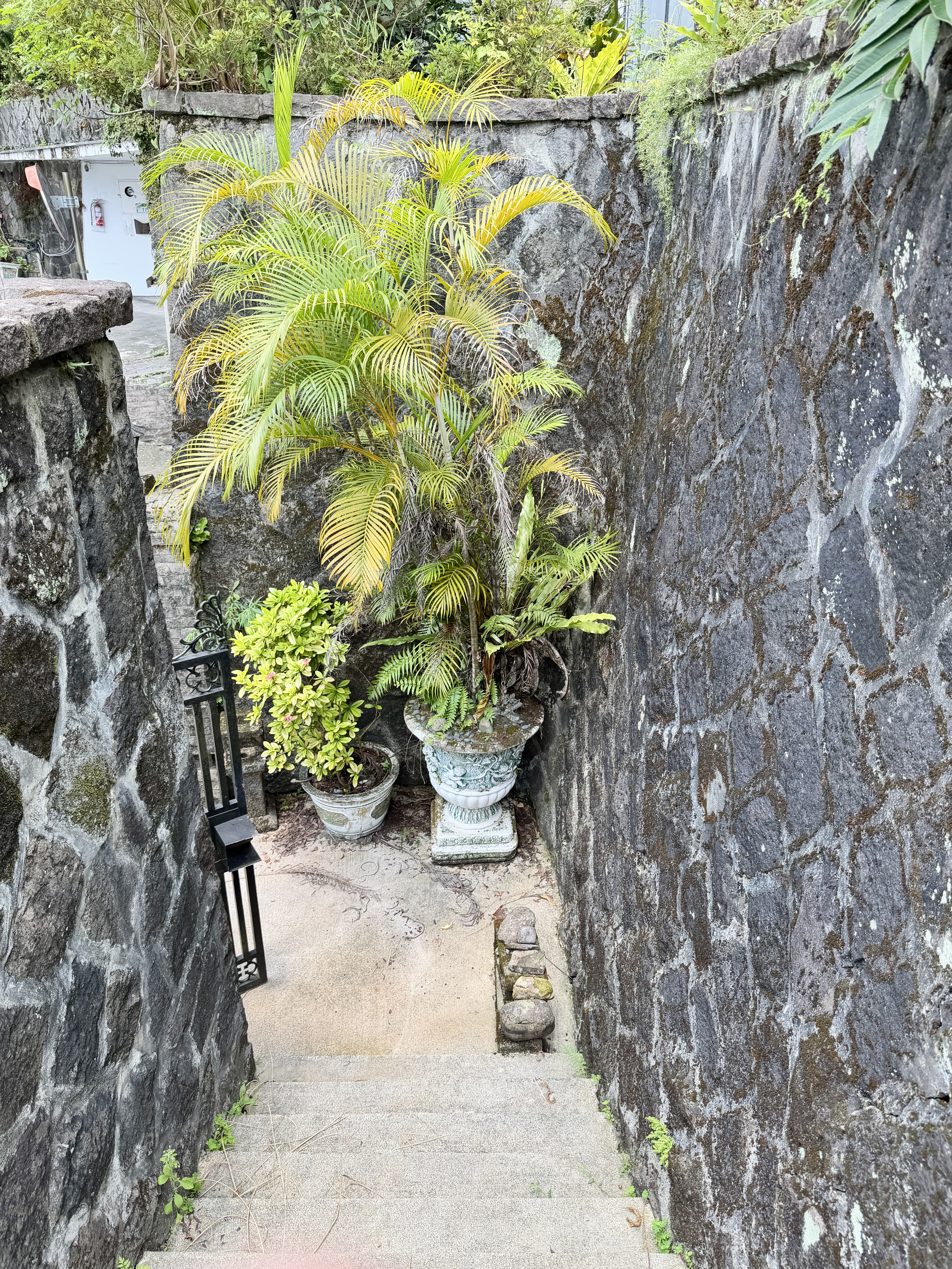 石階與植栽